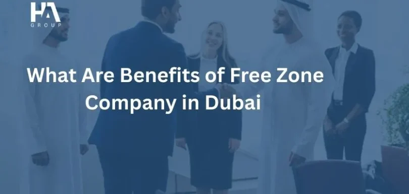 What Are Benefits of Free Zone Company in Dubai