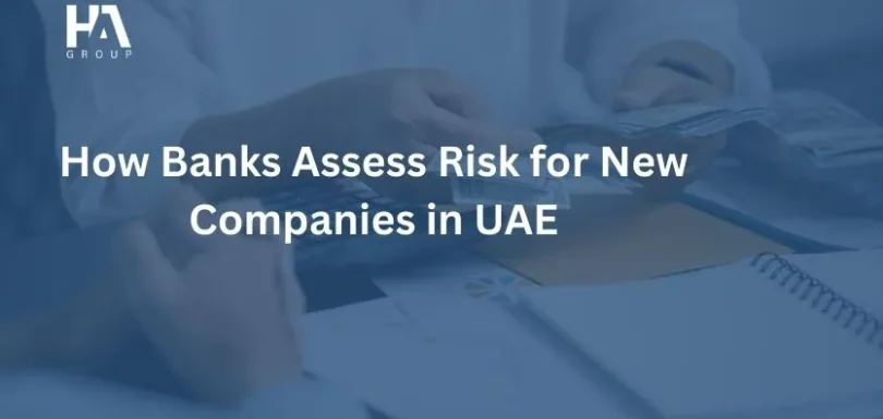 How Banks Assess Risk for New Companies in UAE