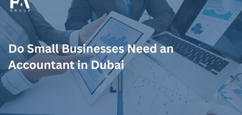 Do Small Businesses Need an Accountant in Dubai