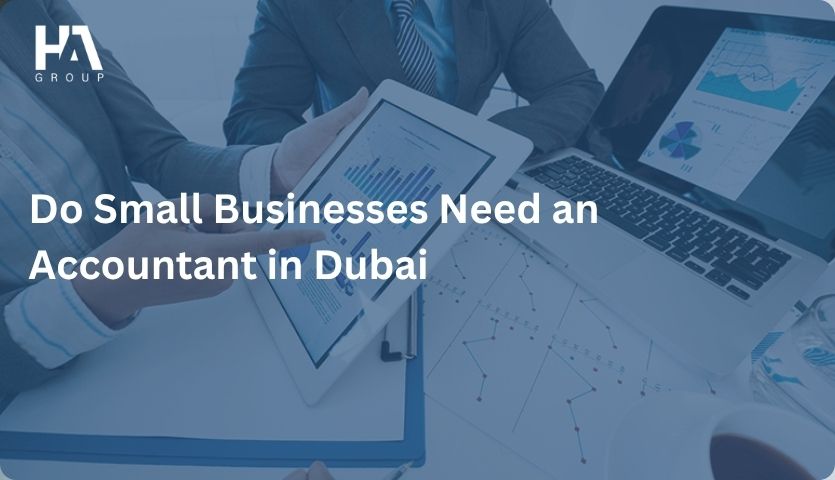 Do Small Businesses Need an Accountant in Dubai