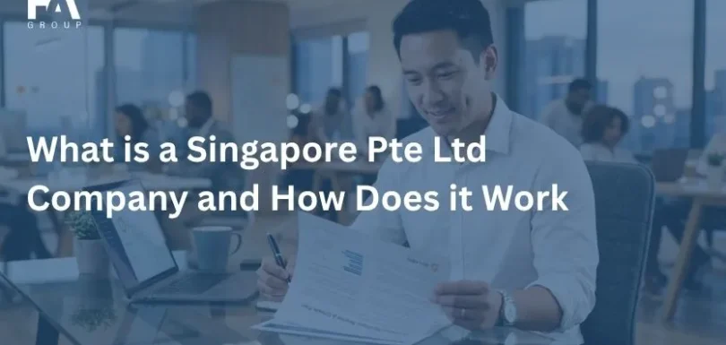 What is a Singapore Pte Ltd Company and How Does it Work